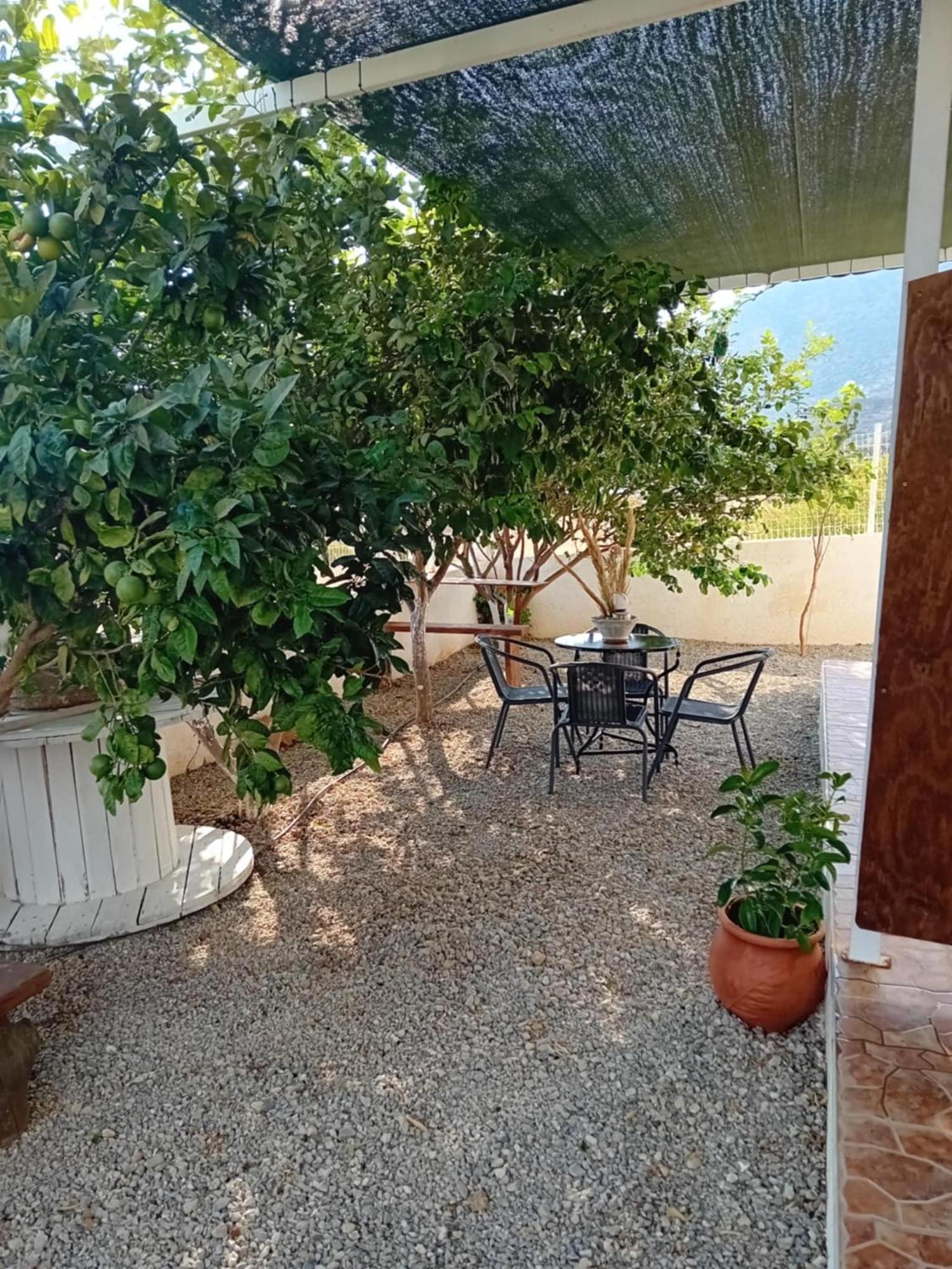 Apartment Anna Maria With Sea View Kapetaniana